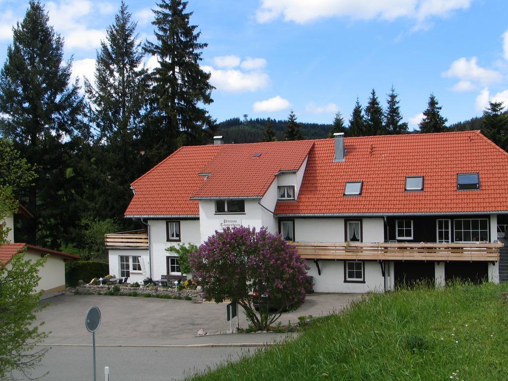 Pension Tannenheim Hotel Schluchsee Buitenkant foto