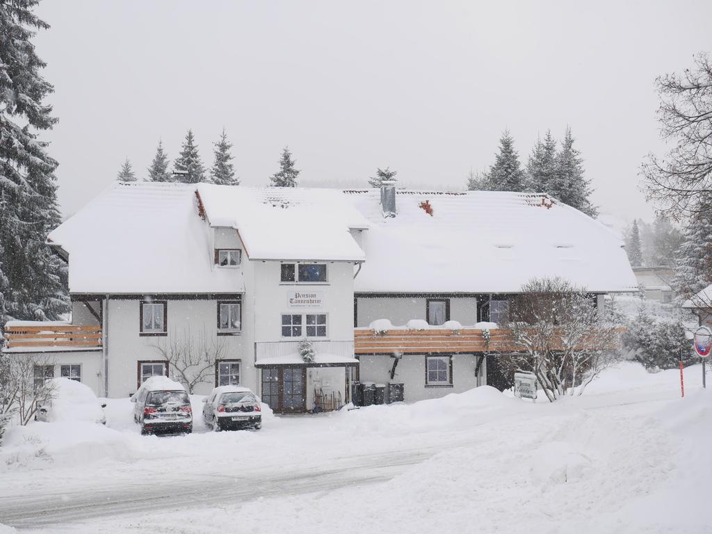 Pension Tannenheim Hotel Schluchsee Buitenkant foto