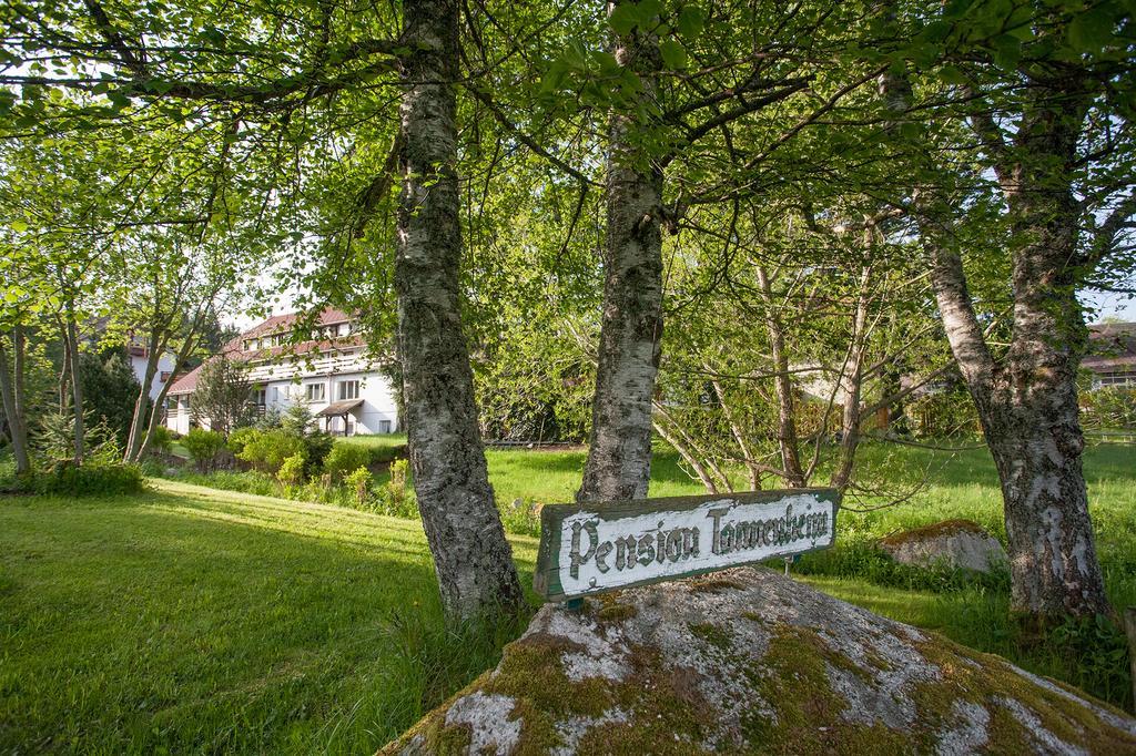 Pension Tannenheim Schluchsee Buitenkant foto