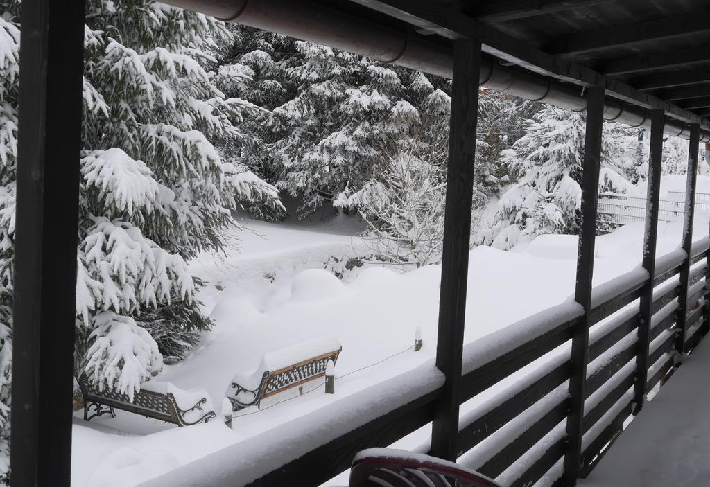 Pension Tannenheim Schluchsee Buitenkant foto