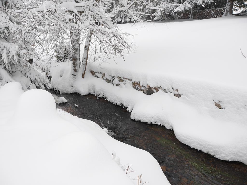 Pension Tannenheim Schluchsee Buitenkant foto
