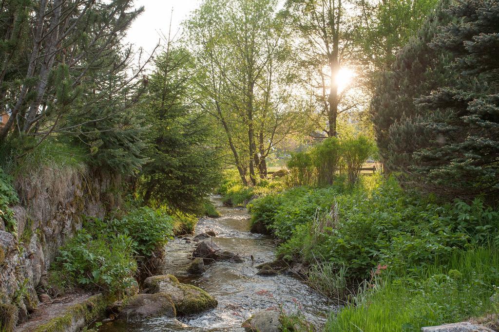 Pension Tannenheim Schluchsee Buitenkant foto
