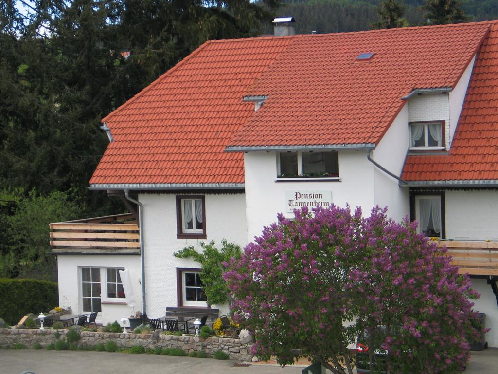 Pension Tannenheim Schluchsee Buitenkant foto