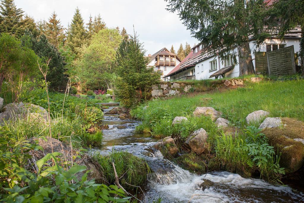 Pension Tannenheim Hotel Schluchsee Buitenkant foto