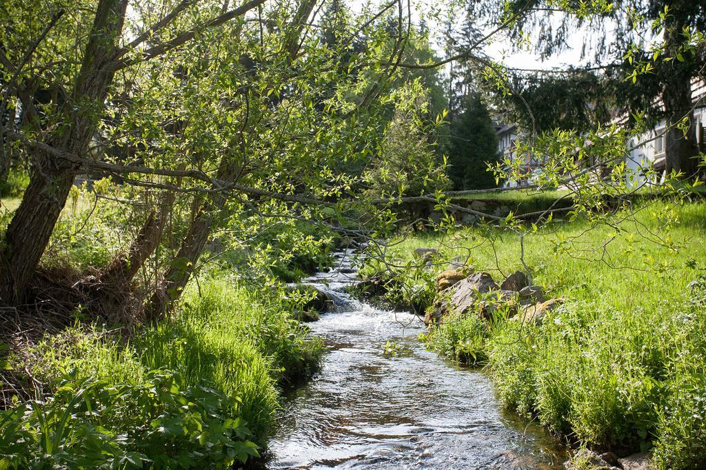 Pension Tannenheim Schluchsee Buitenkant foto